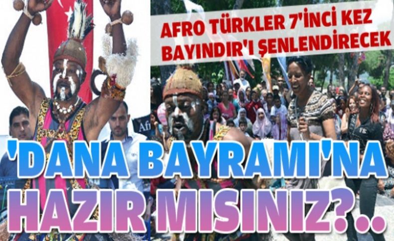 Bayındır, 7. Dana Bayramı için kolları sıvadı