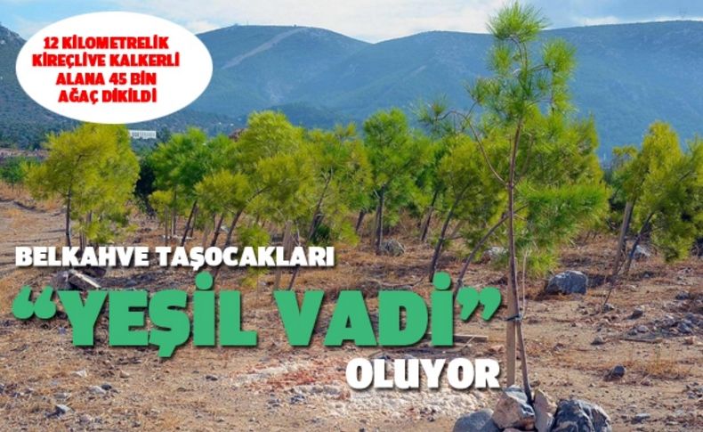 Belkahve taşocakları “yeşil vadi” oluyor