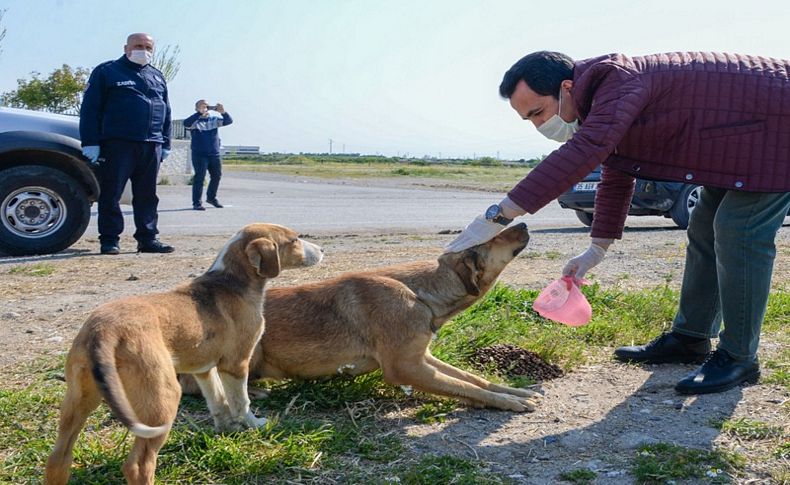 Bergama’da can dostlar unutulmadı!