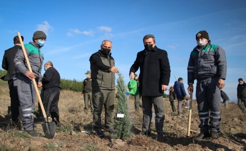 Bergama’da fidan dikim bayramı