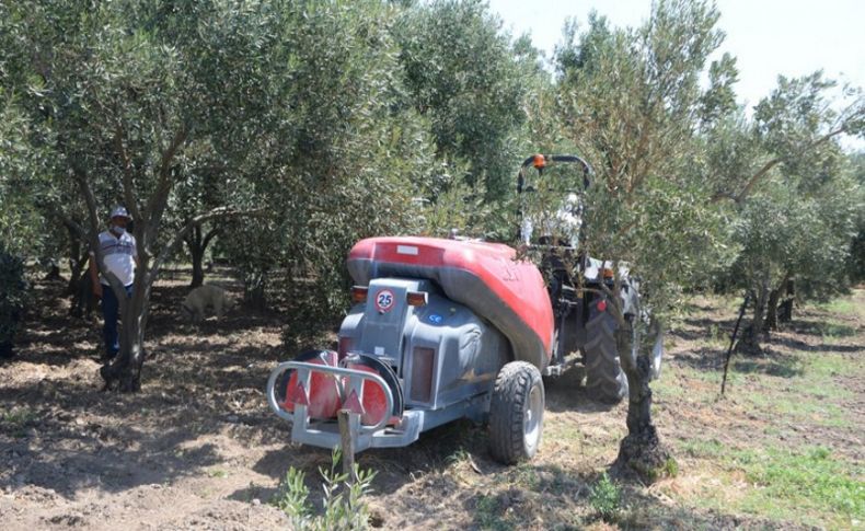 Bergama’da ‘tarla günü’ etkinliği