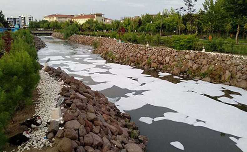 Bir kez daha çevre katillerinin saldırısına uğradı!