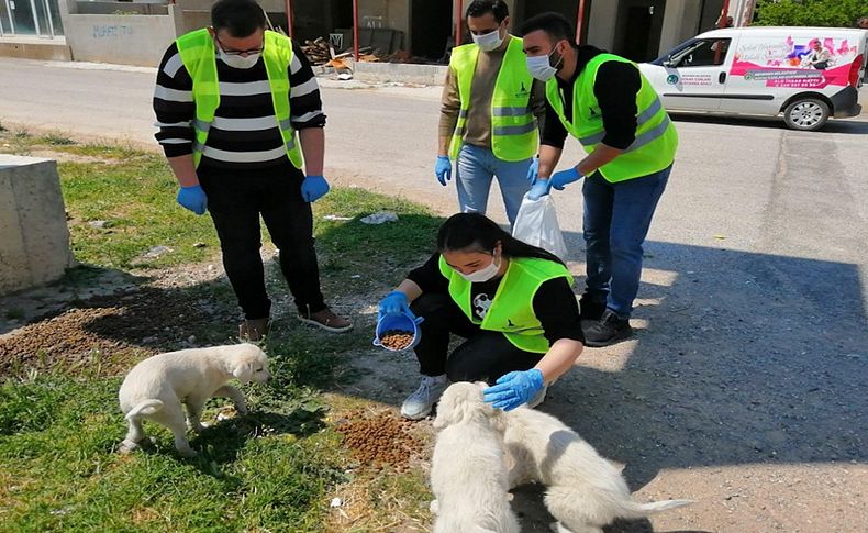 “BizVarız” gönüllüleri mama ve yem dağıttı