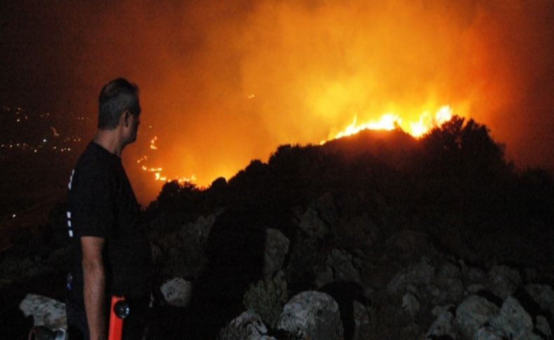 Bodrum'da orman yangını