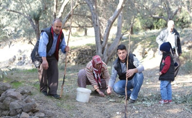 Bornova Belediyesi'nden tarıma destek