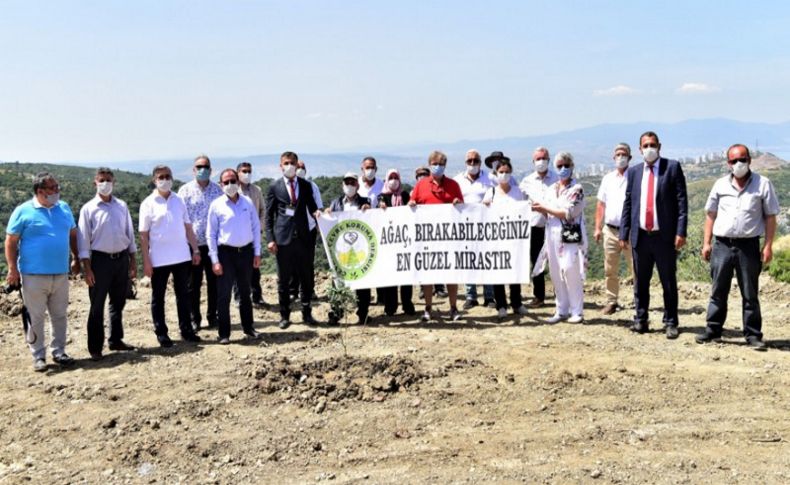 Bornova'da bin 250 zeytin fidanı toprakla buluştu