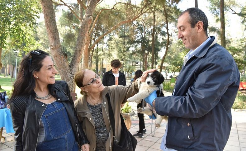 Bornovalılar sokak hayvanlarını sahiplenmede öncü