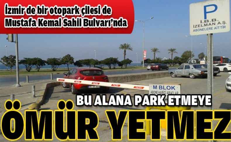 Bu otoparklara ömür yetmez