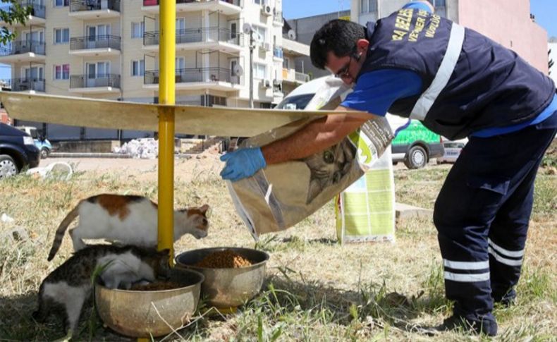 Buca'da can dostlar için “sıcak” önlemi