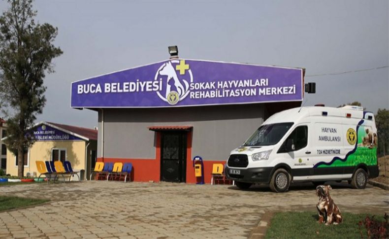 Buca’da sokak hayvanlarına dört dörtlük hizmet