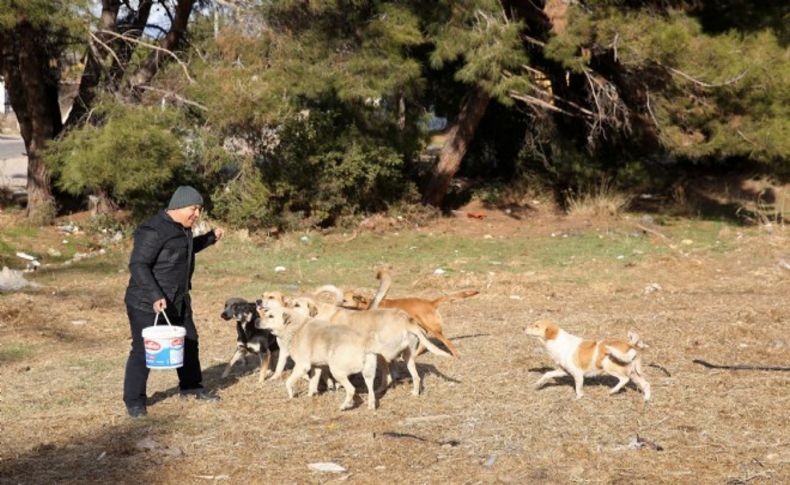 Buca'dan can dostlara yardımeli