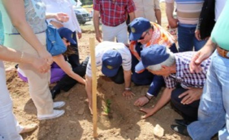 Buca'da Üzüm Bağı’nın ilk fidanları dikildi