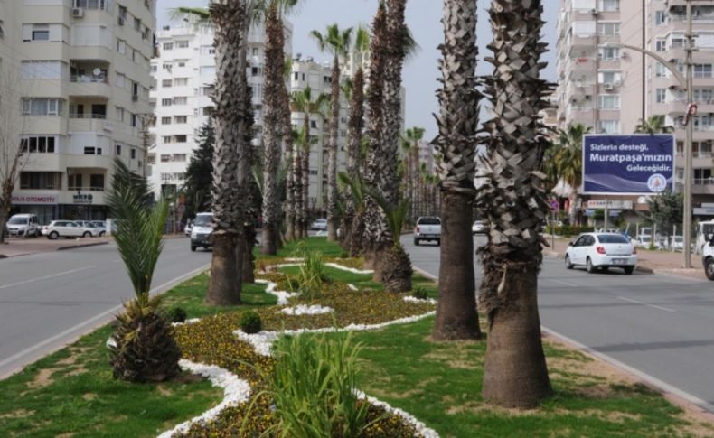 Burhanettin Onat Caddesi yenilendi