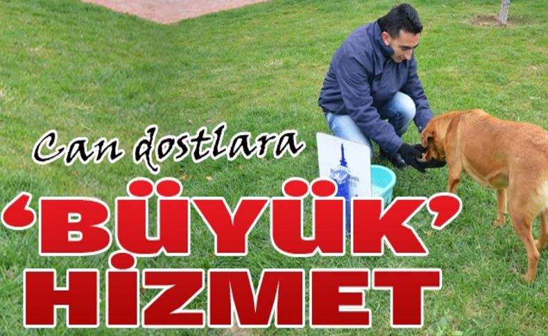 Büyükşehir can dostları unutmadı