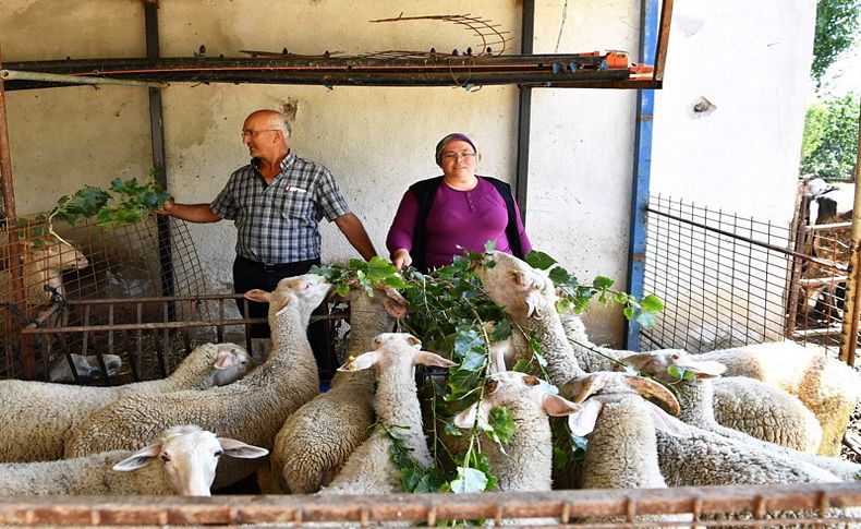 Büyükşehirin projesi bire dört verdi