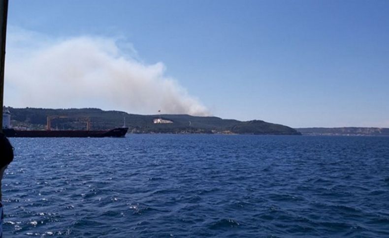 Çanakkale'de orman yangını