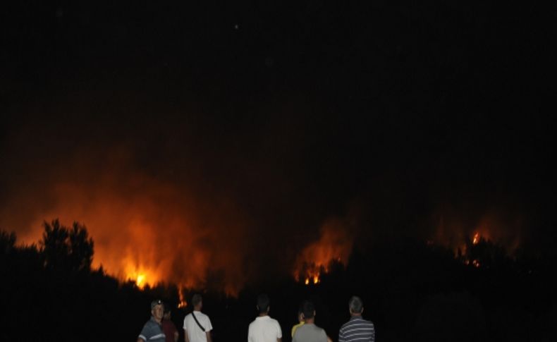 Çanakkale'deki orman yangını devam ediyor