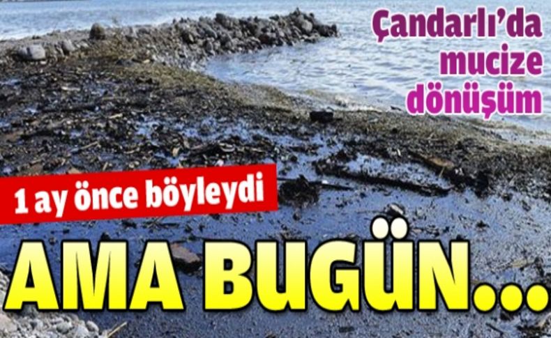 Çandarlı, çevre felaketi şokunu çabuk atlattı