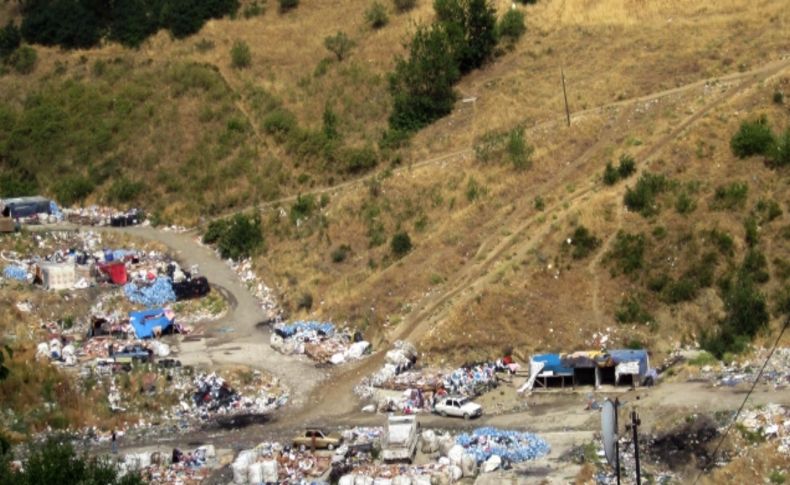 Çankaya Belediyesi, Dikmen Vadisi'nde temizlik yaptı