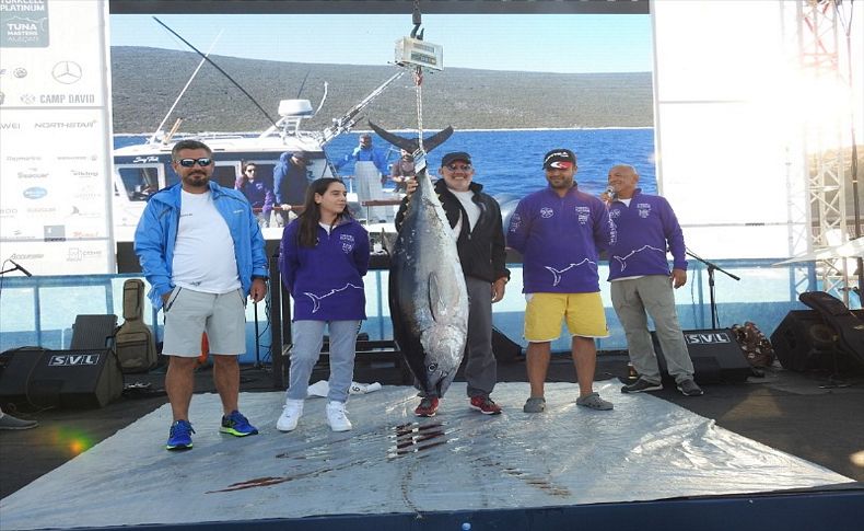 Çeşme'de orkinos yakalama turnuvası