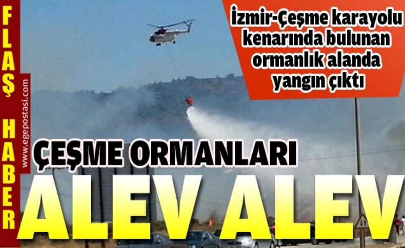 Çeşme ormanları alevlere teslim