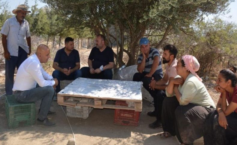 CHP'li Polat: Salgın tarımı da vurmuş