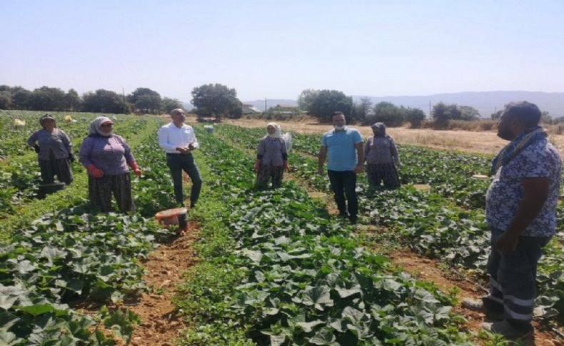 CHP’li Polat üreticinin sorunlarını dinledi: Çiftçi kredi ile yaşamaya mahkum