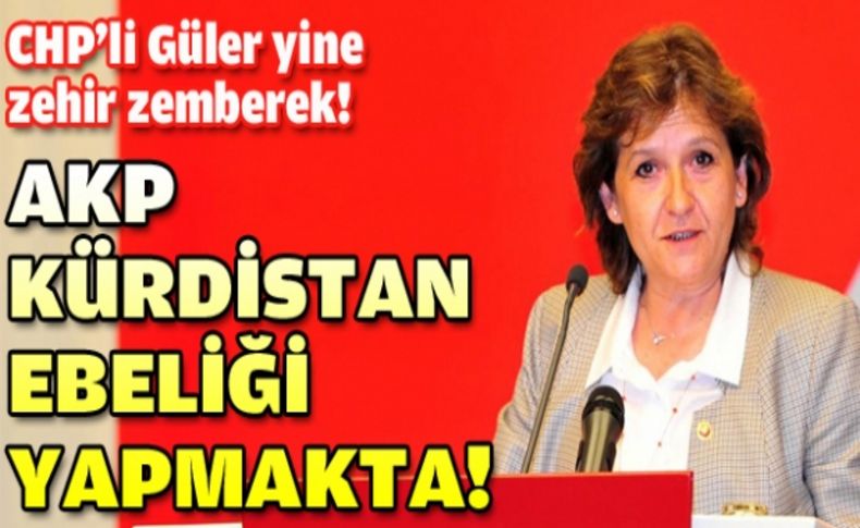 CHP’li Güler; “AKP Kürdistan Ebeliği Yapmakta!”