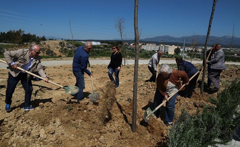 Çınarlar fidanları toprakla buluşturdu