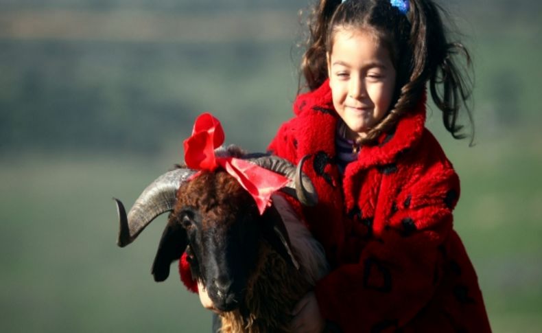 Çocuk Psikoloğu Uluyol: Kurban kesim sahnelerinden çocukları korumalıyız