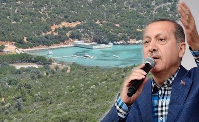 Cumhurbaşkanı Erdoğan'dan sürpriz İzmir ziyareti