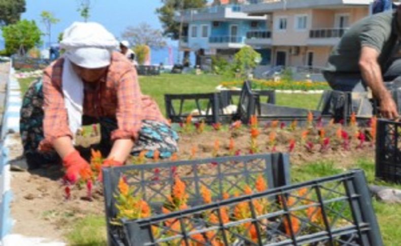 Dikili Belediyesi kenti renk cümbüşüne döndürdü