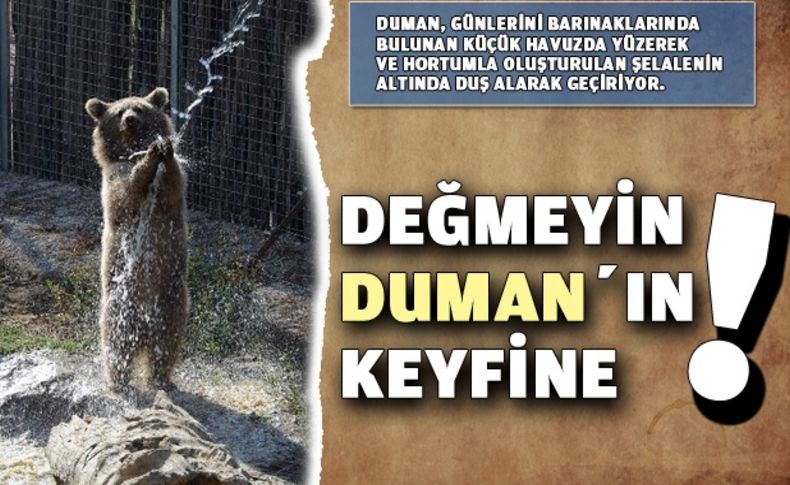 Değmeyin Duman’ın keyfine!