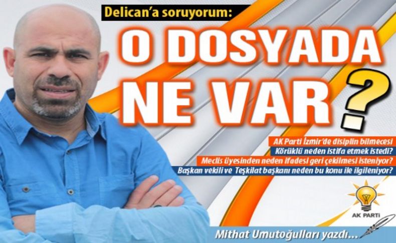 Delican'a soruyorum: O dosyada ne var'