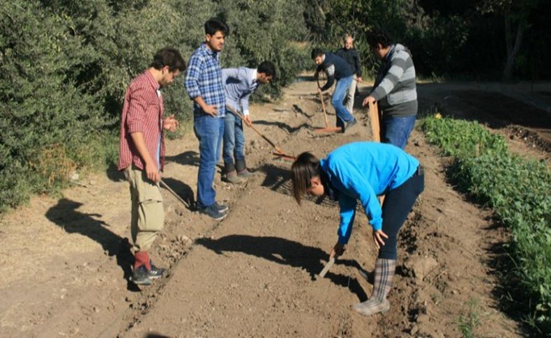 Derste dinleyip kampüste ekiyorlar