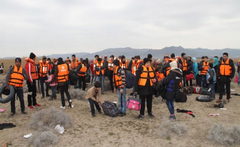 Dikili'de sazlıkların arasında 200 kaçak yakalandı