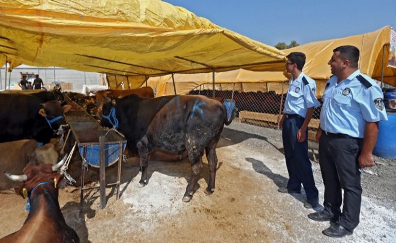 Dikkat! Kurban keserken ceza yemeyin