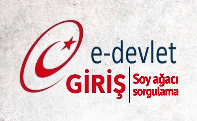 E-Devlet Soyağacı bilgisi sorgulama sayfası açıldı