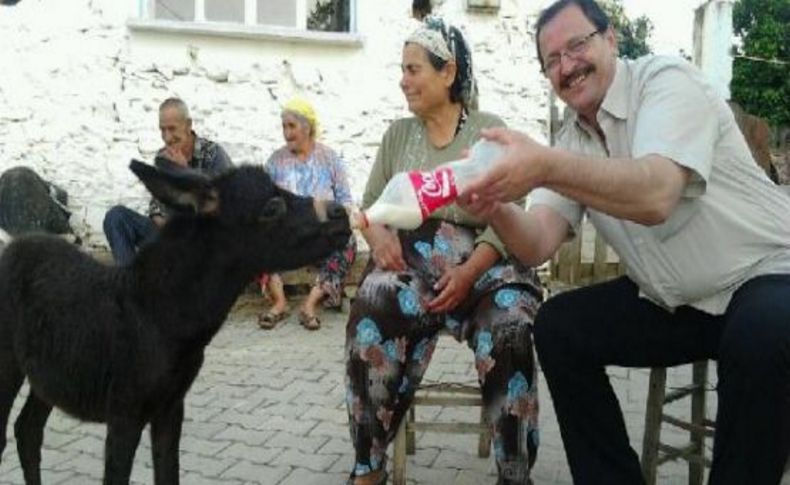 Eşek öldü, sıpayı biberonla besliyor