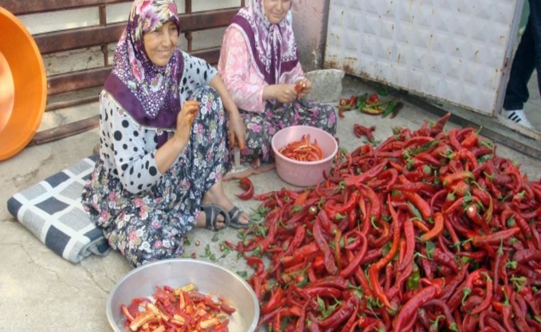 Ev hanımları kırmızı toz biber hazırlığında