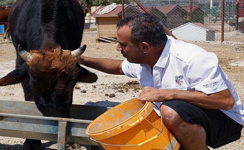 Ferdinand'a ahır geliyor