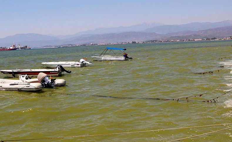 Fethiye'de deniz rengindeki değişimin nedeni belli oldu