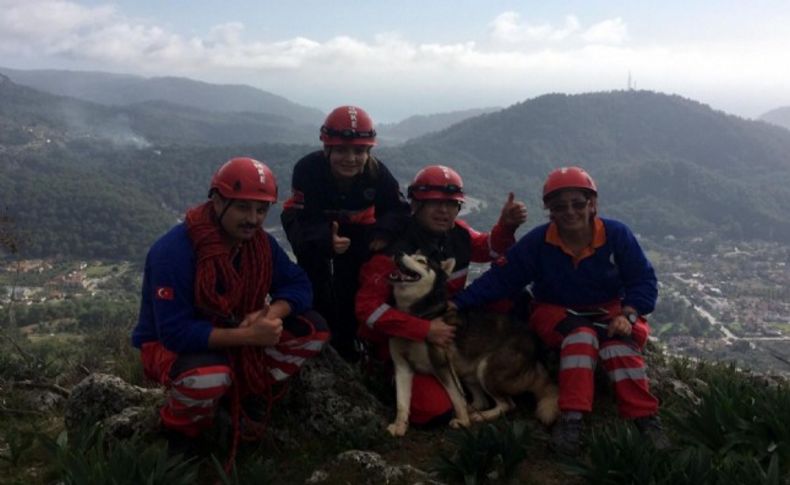 Kayalıklarda mahsur kalan köpeği UMKE kurtardı