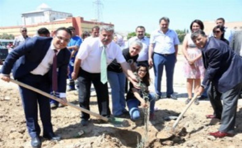 Bornova’da 26 bin metrekarelik alana 400 zeytin fidanı