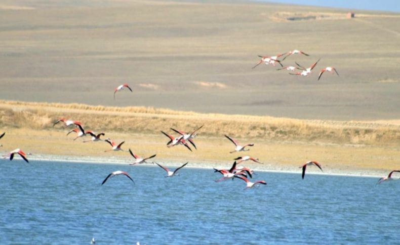 Flamingoların uğrak yeri Düden eski cıvıltısına kavuştu