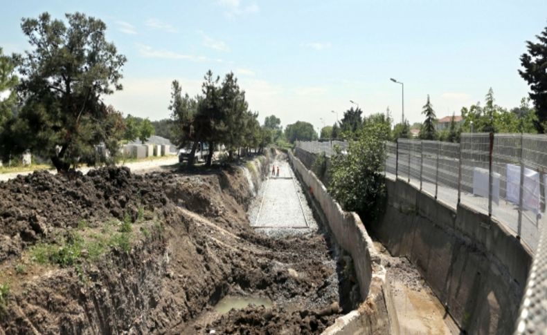 Florya Ormanı yola kurban!