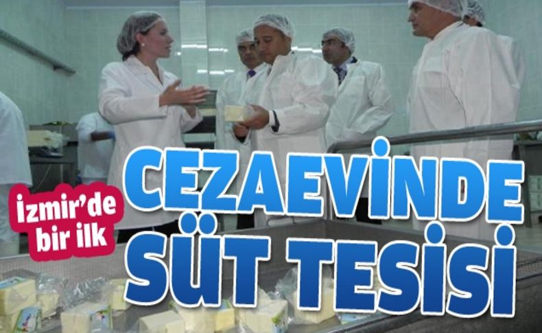 Foça Açık Ceza evinde süt tesisi