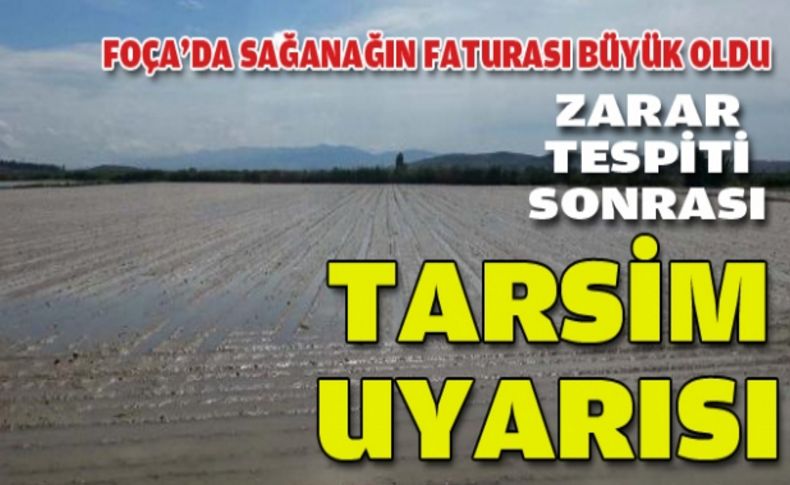 Foça'da sağanak sonrası zarar büyük oldu