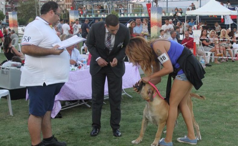 Gaziemir’de köpek ırkları yarışması