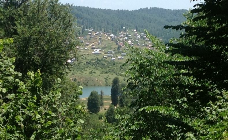 Geniş yapraklı orman işe yaradı yangınlar azaldı